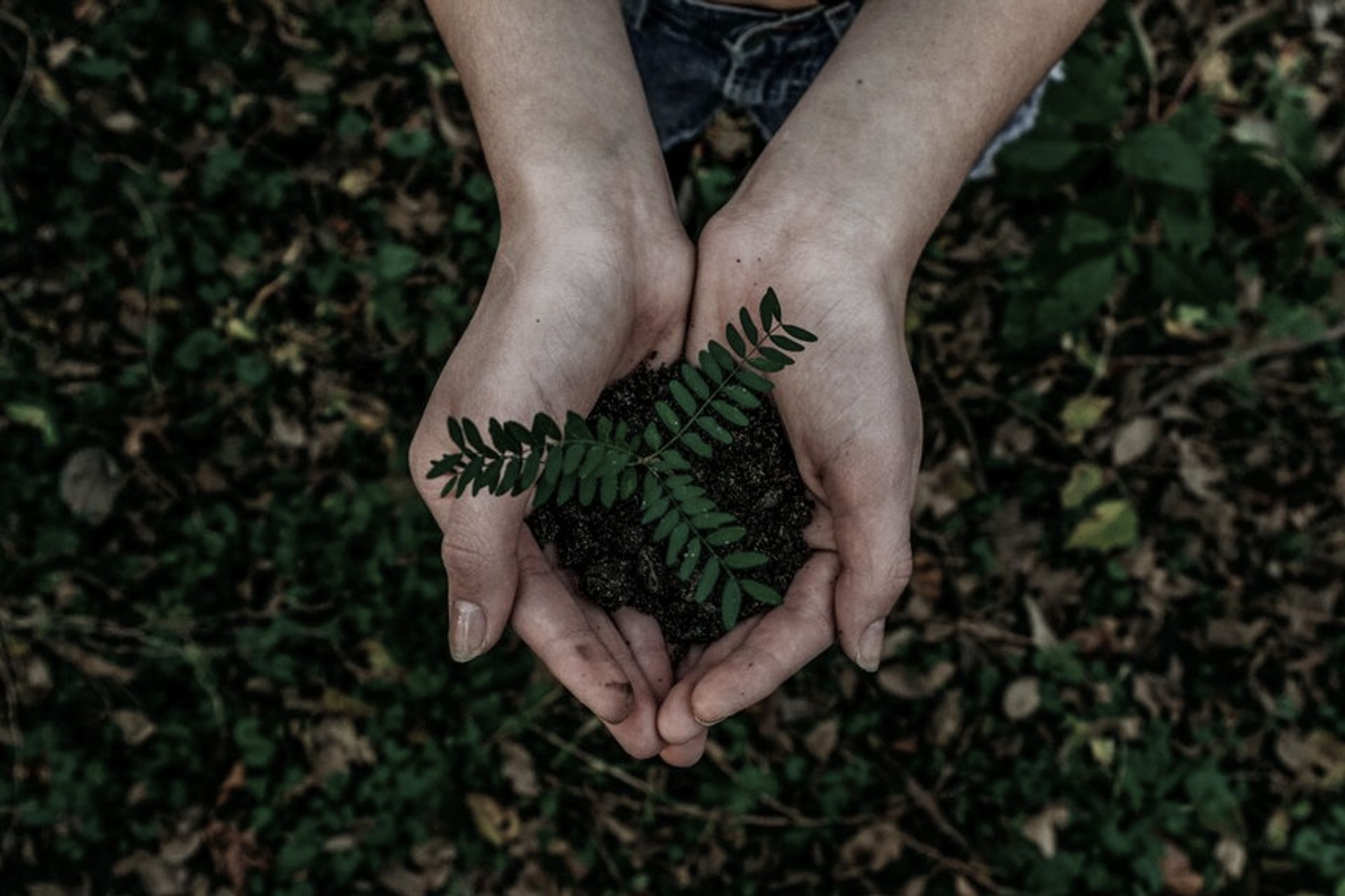 Mountain Creek Architecture banner