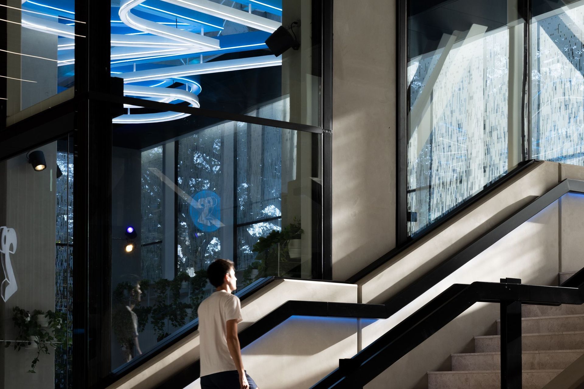 Supporting Image 1 for FORMiS