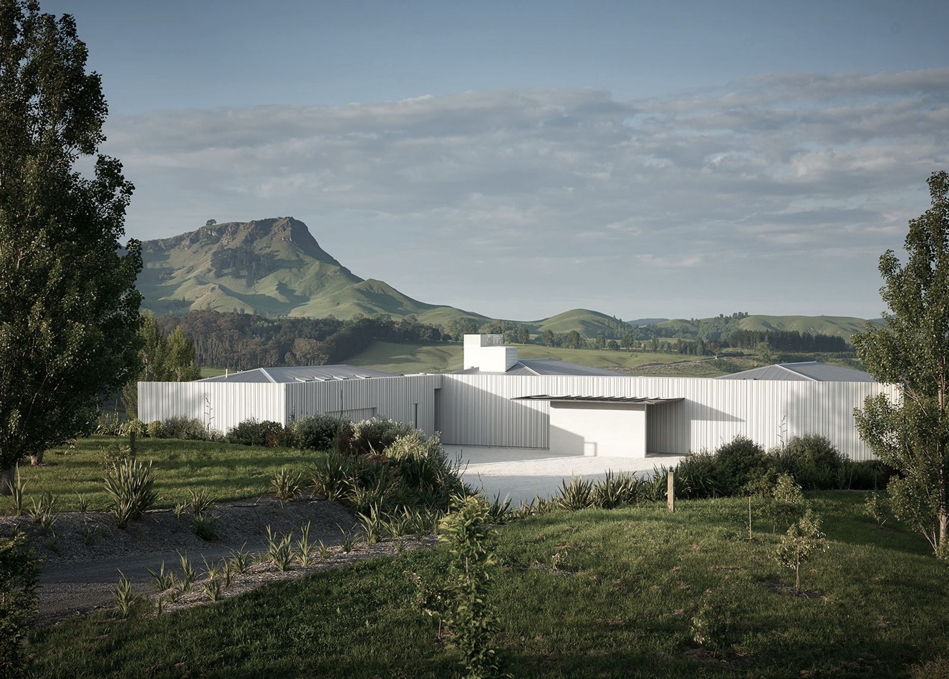 Andy Coltart Architecture & Development