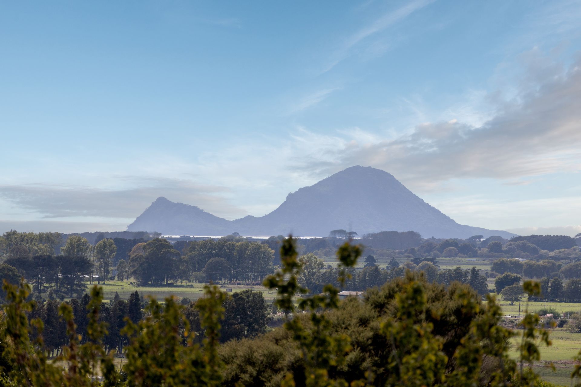 Supporting Image 3 for Forestview Homes