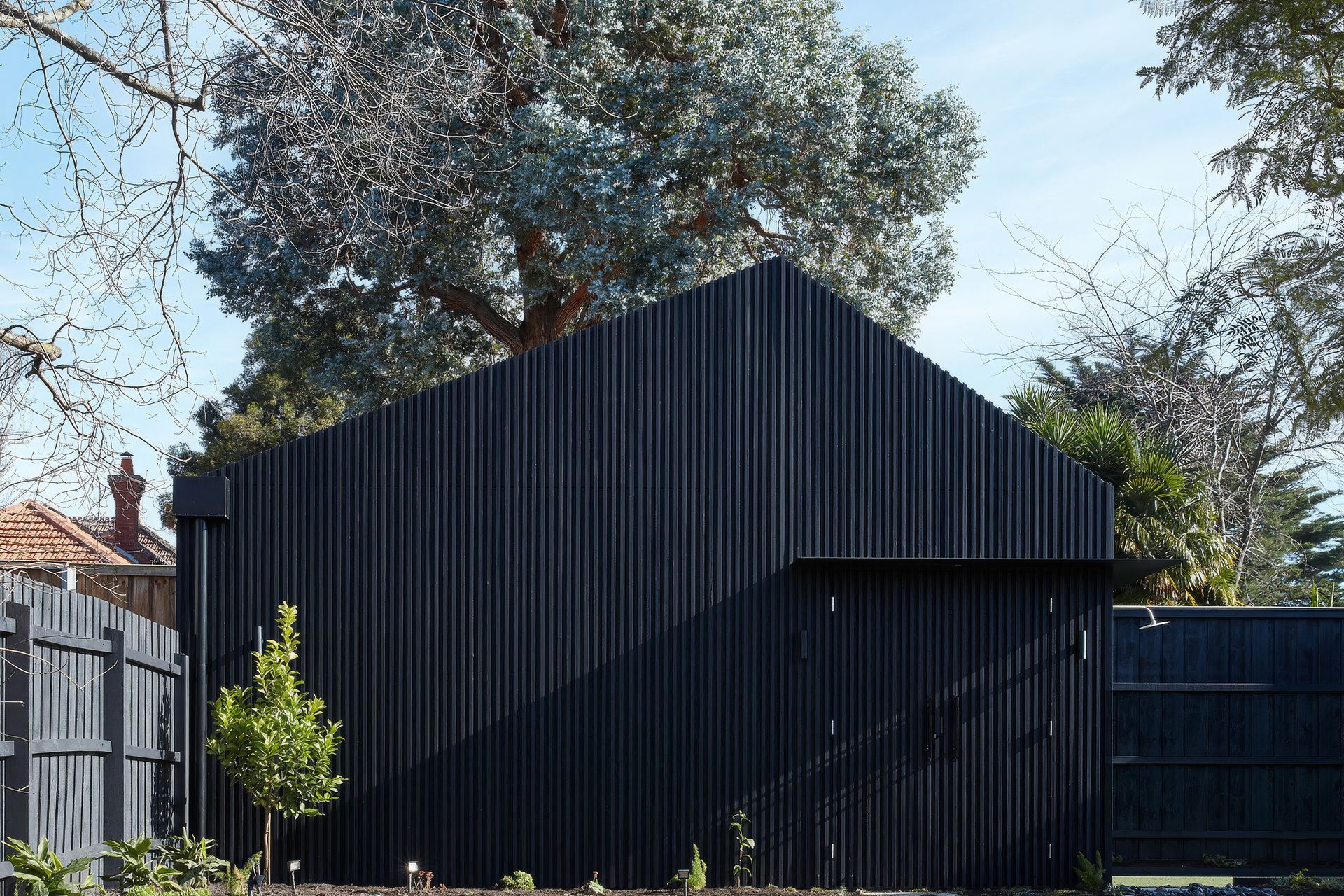 Supporting Image 2 for TYKON