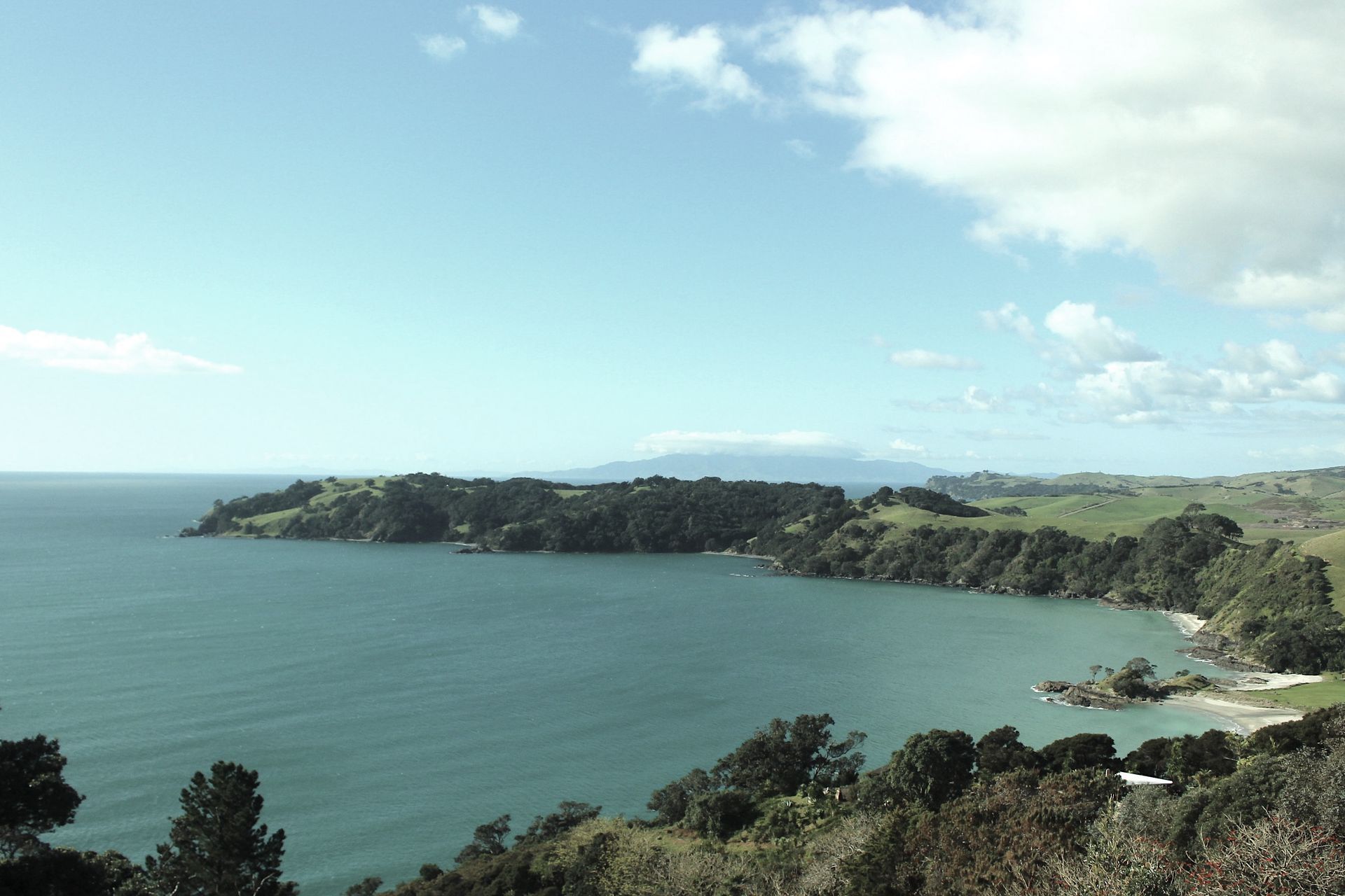 Island 2000 NZ banner