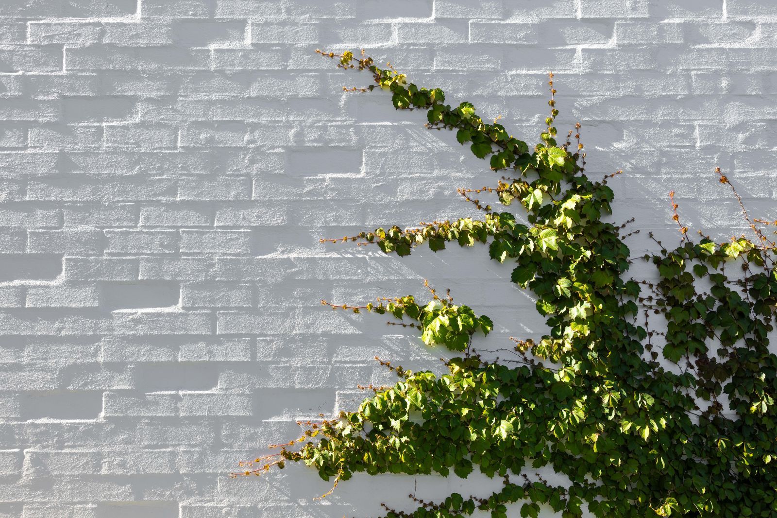 All Build Construction