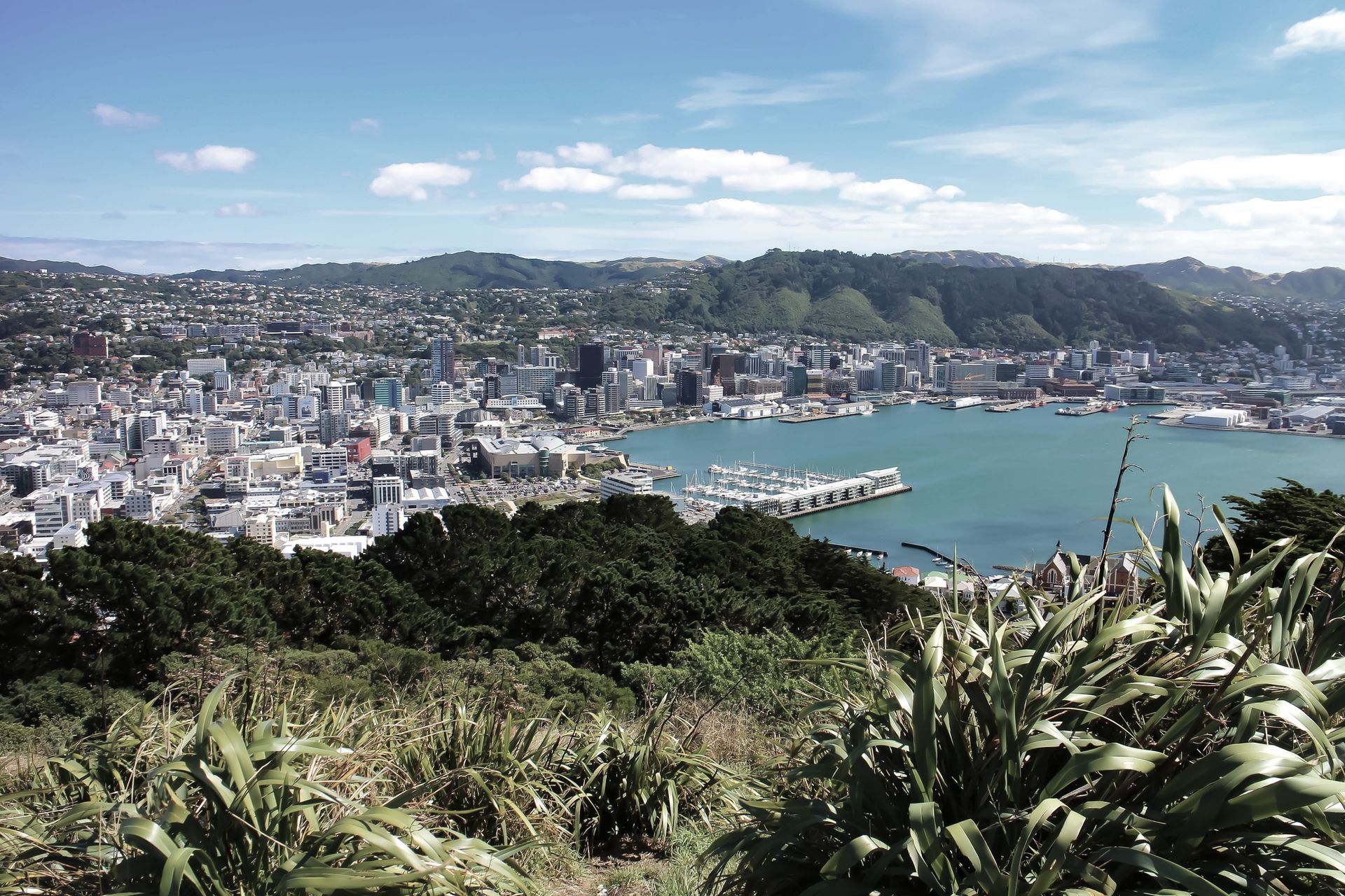 Hero Banner for Manta Wash