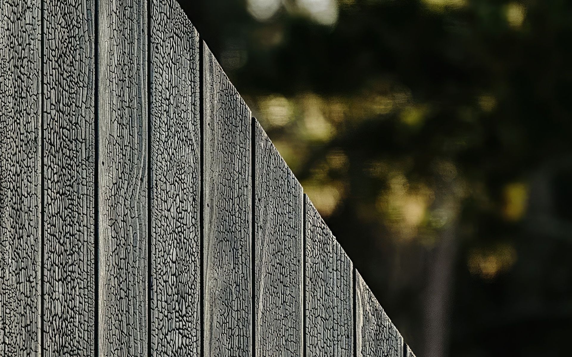 Supporting Image 4 for The Blackwood Project