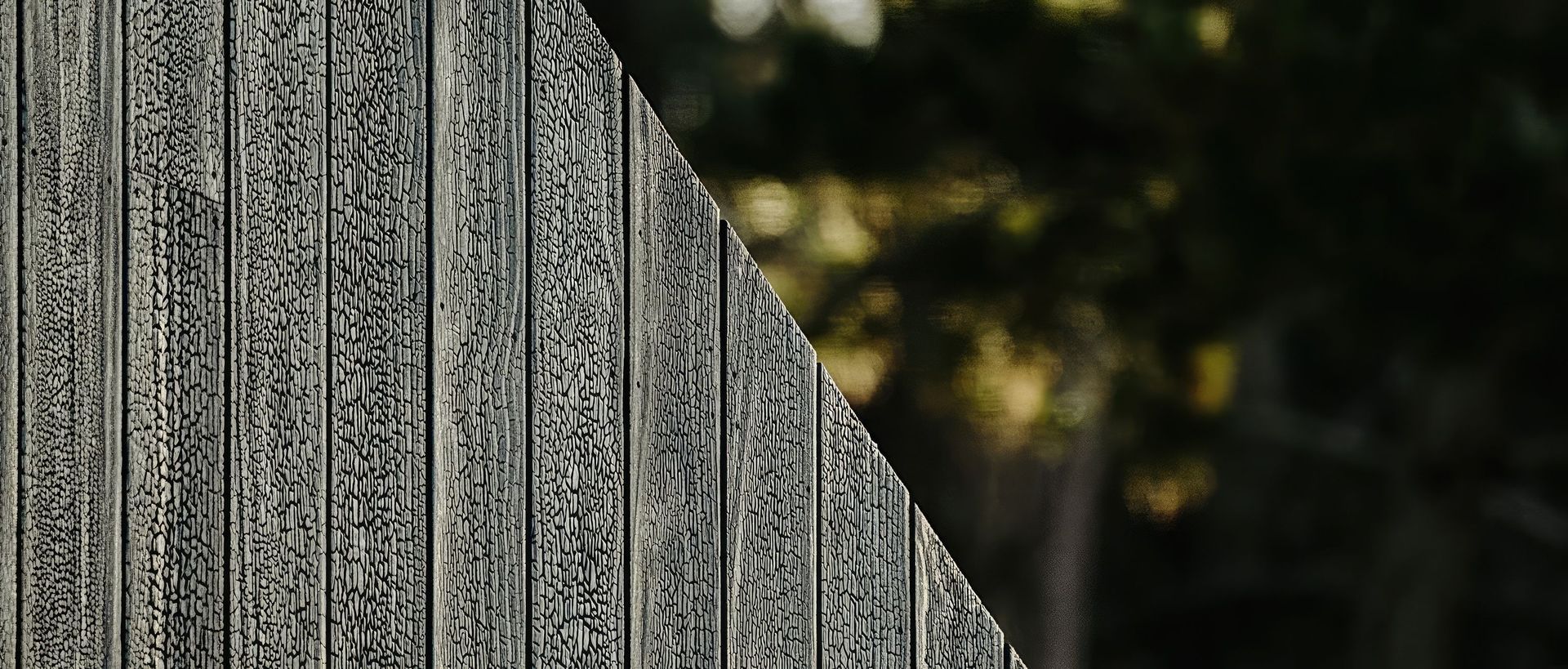 Supporting Image 4 for The Blackwood Project