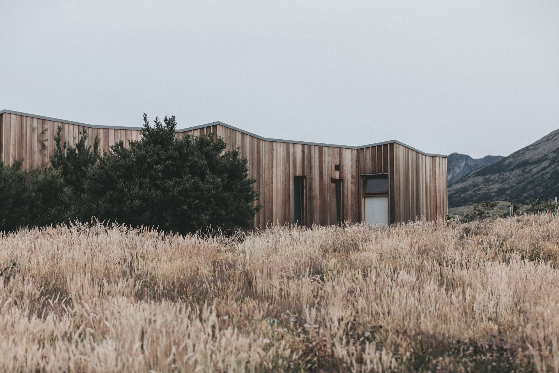 DEC Construction banner