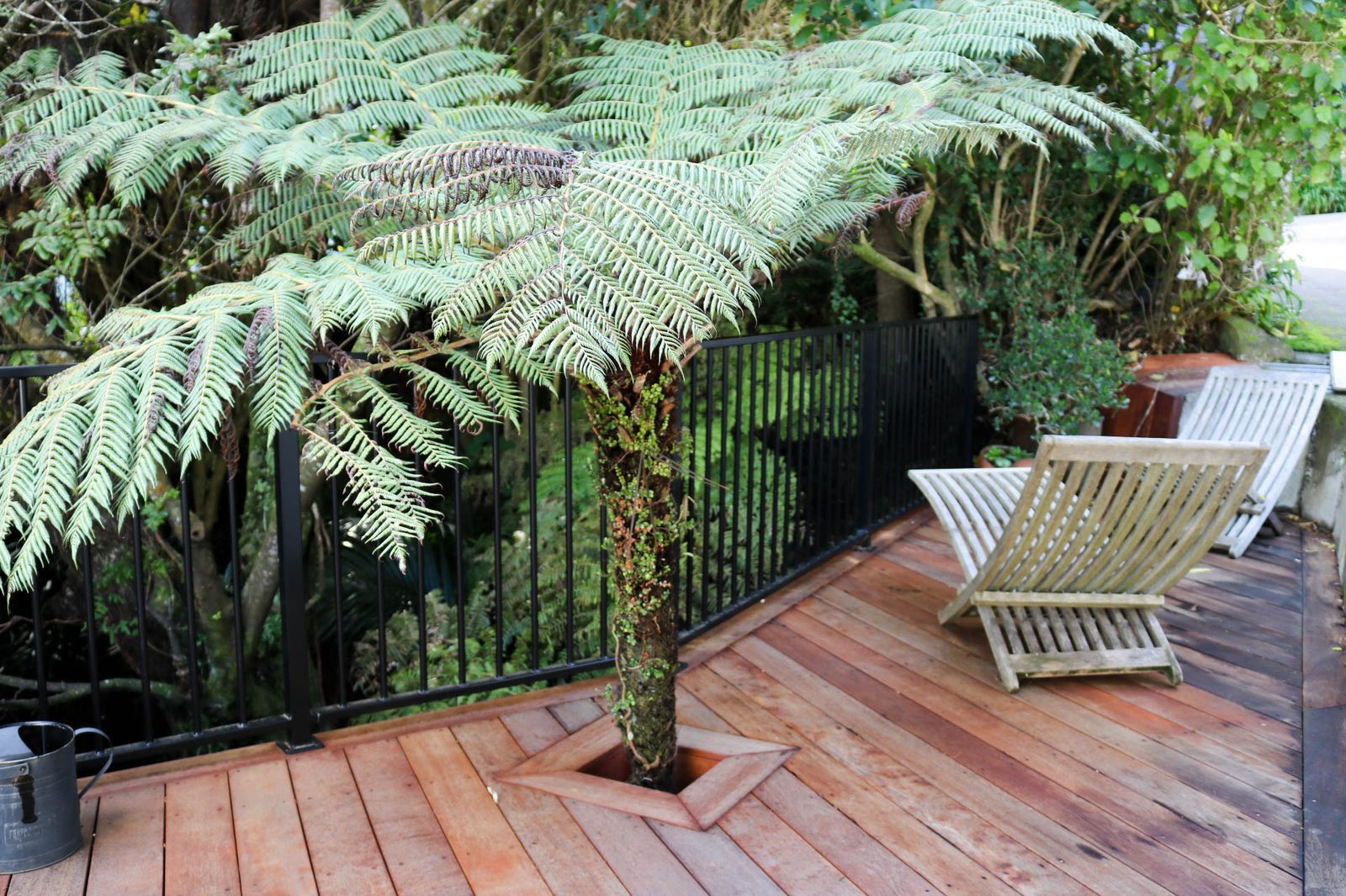 The George Construction Solutions