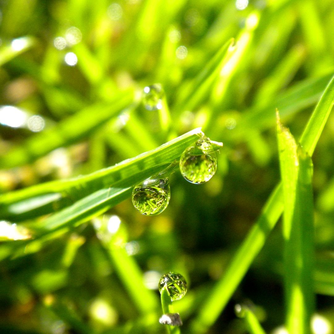 Hydroscape Irrigation