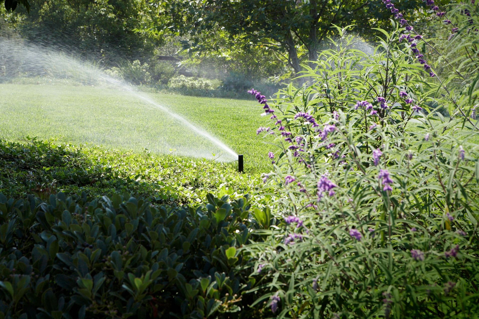 Hero Banner for Hydroscape Irrigation
