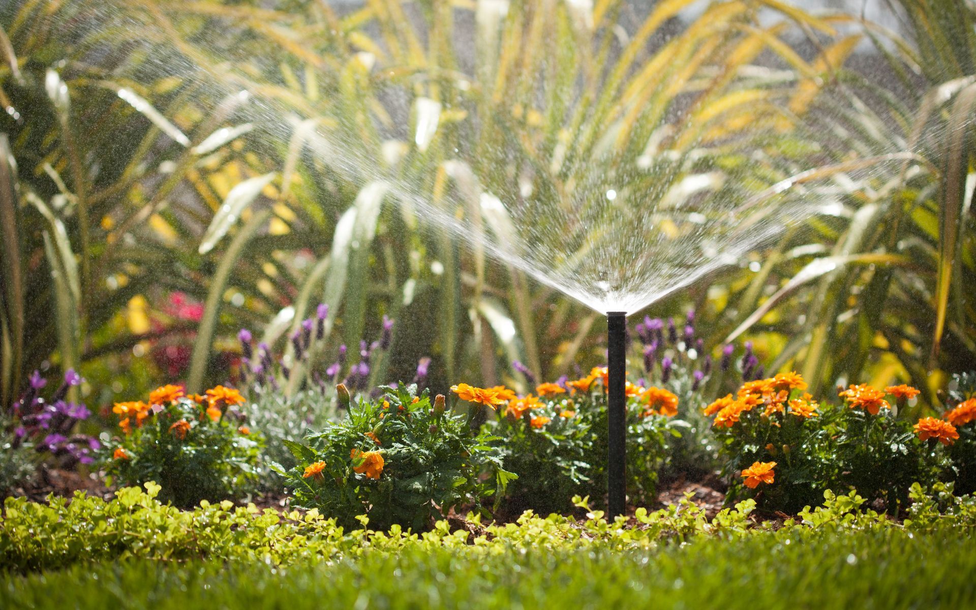 Supporting Image 5 for Hydroscape Irrigation