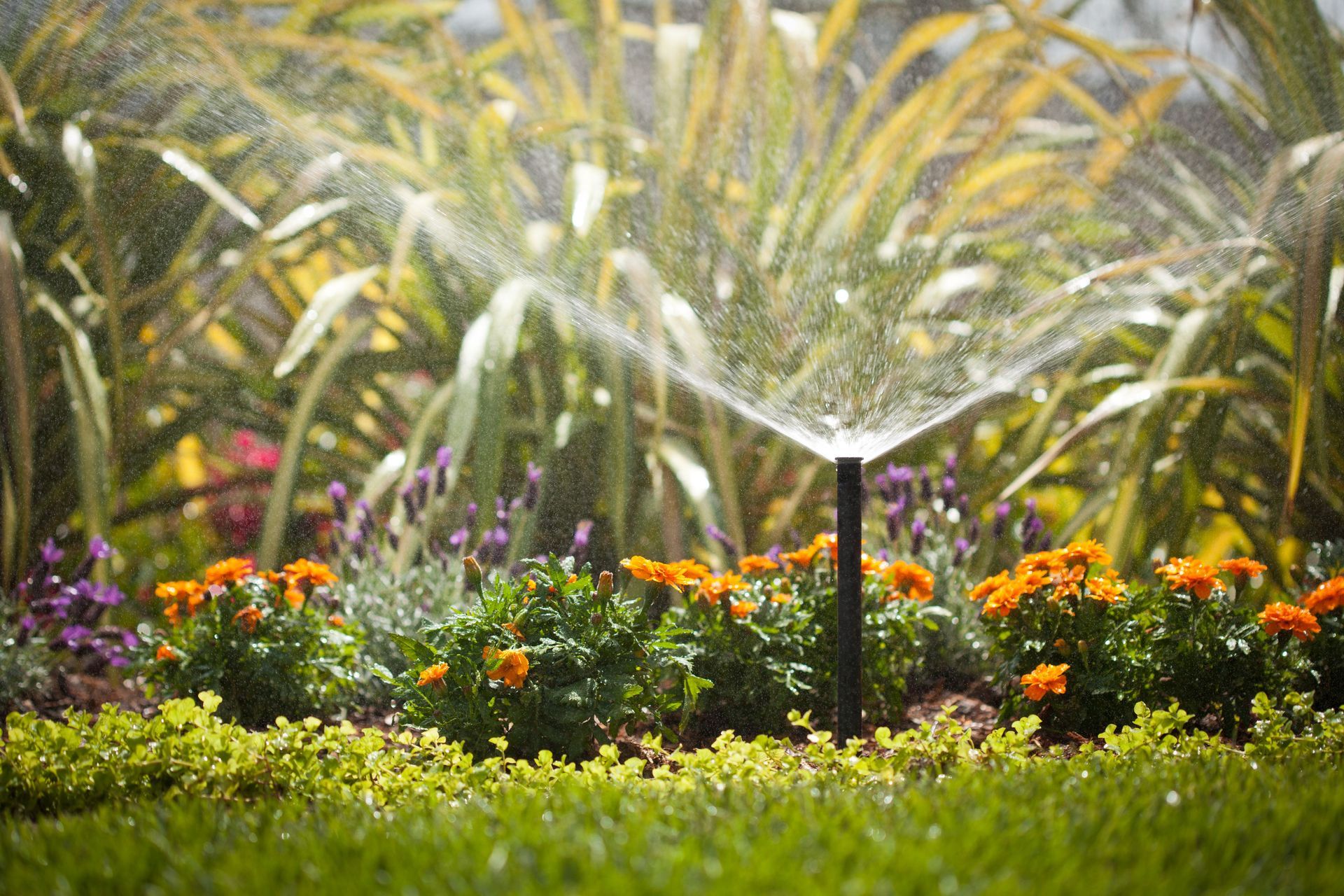 Supporting Image 5 for Hydroscape Irrigation