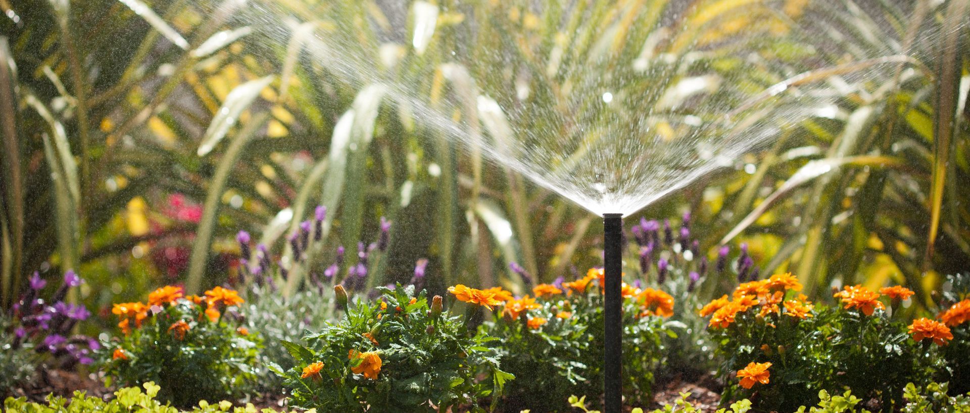 Supporting Image 5 for Hydroscape Irrigation