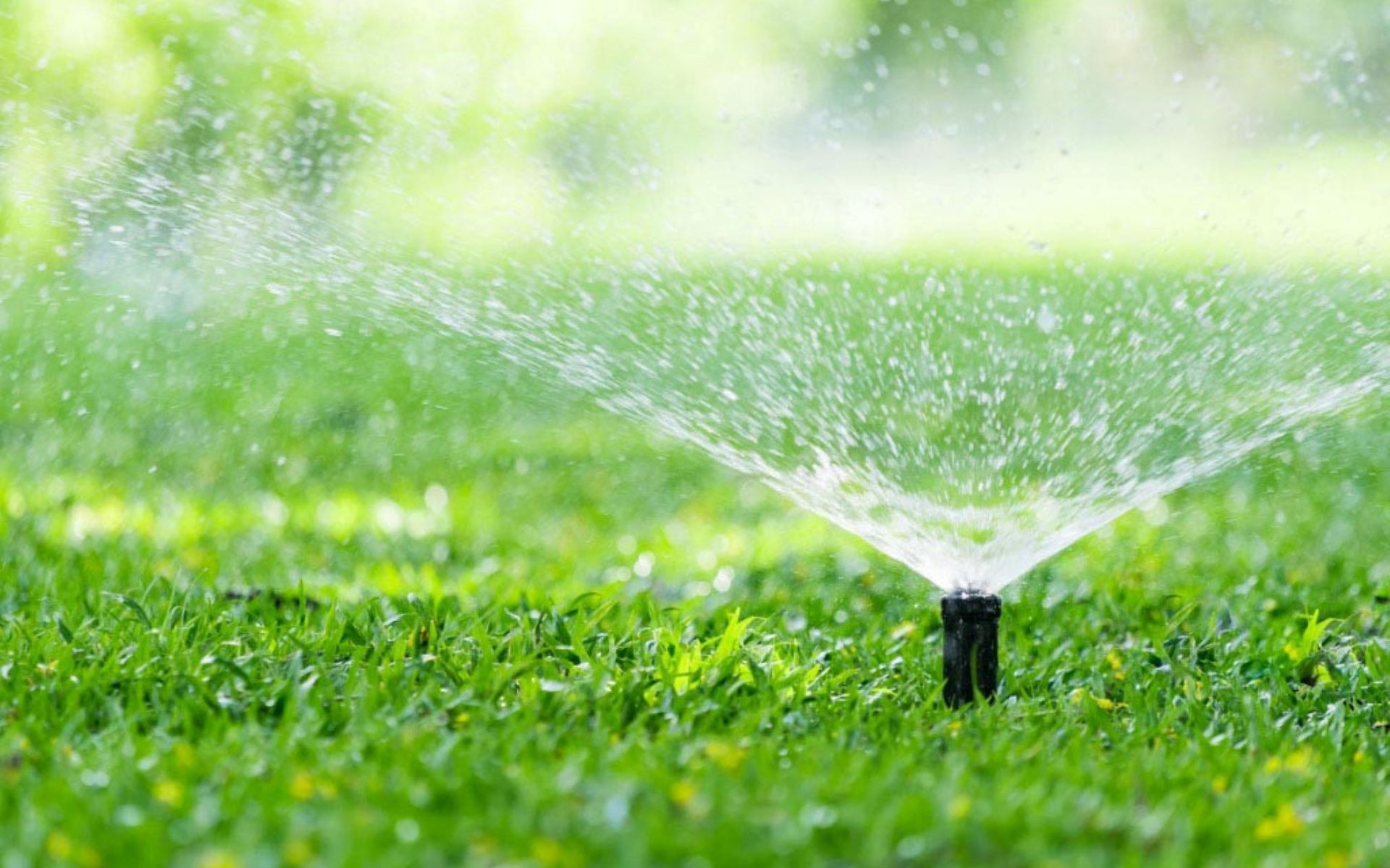 Supporting Image 6 for Hydroscape Irrigation