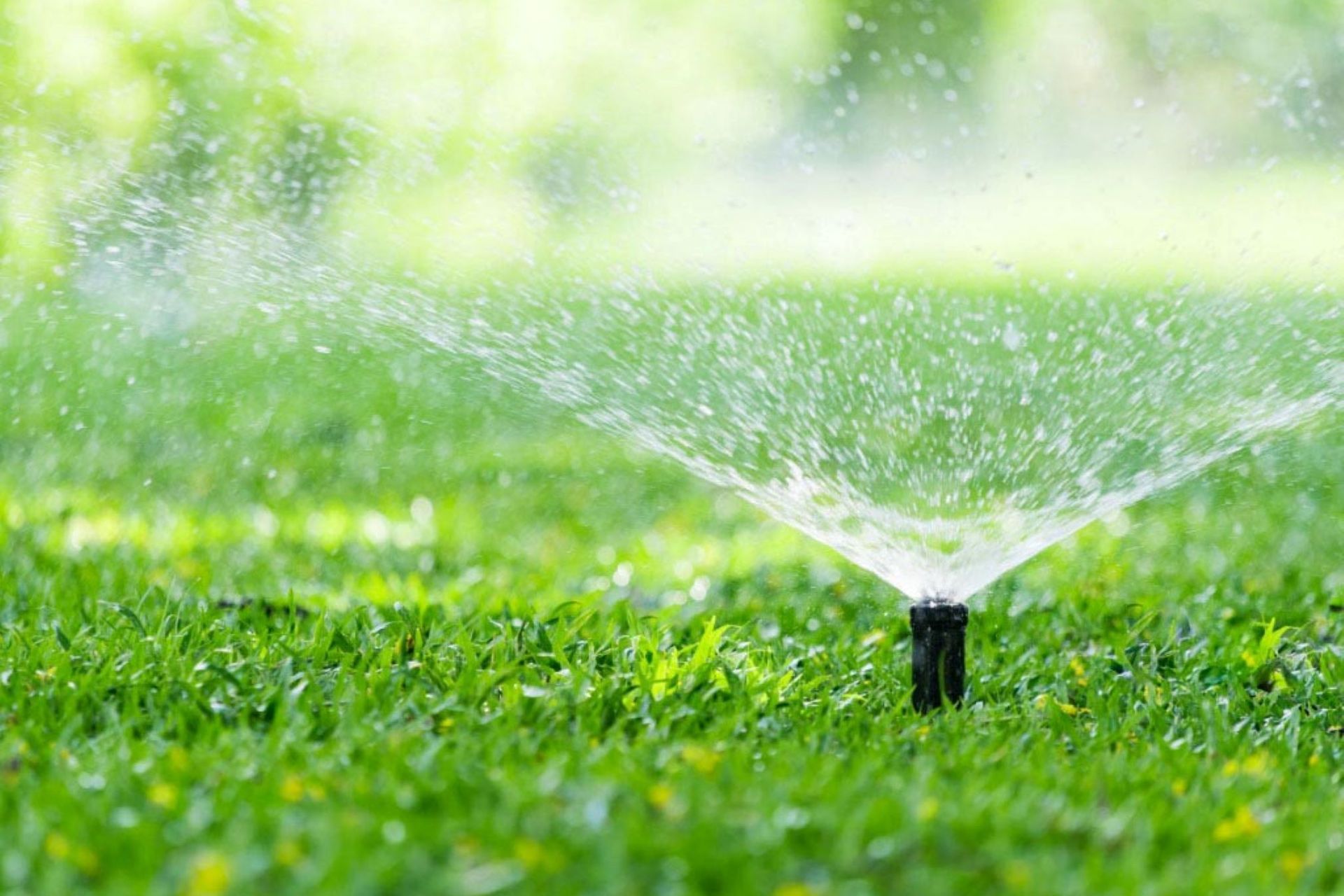 Supporting Image 6 for Hydroscape Irrigation