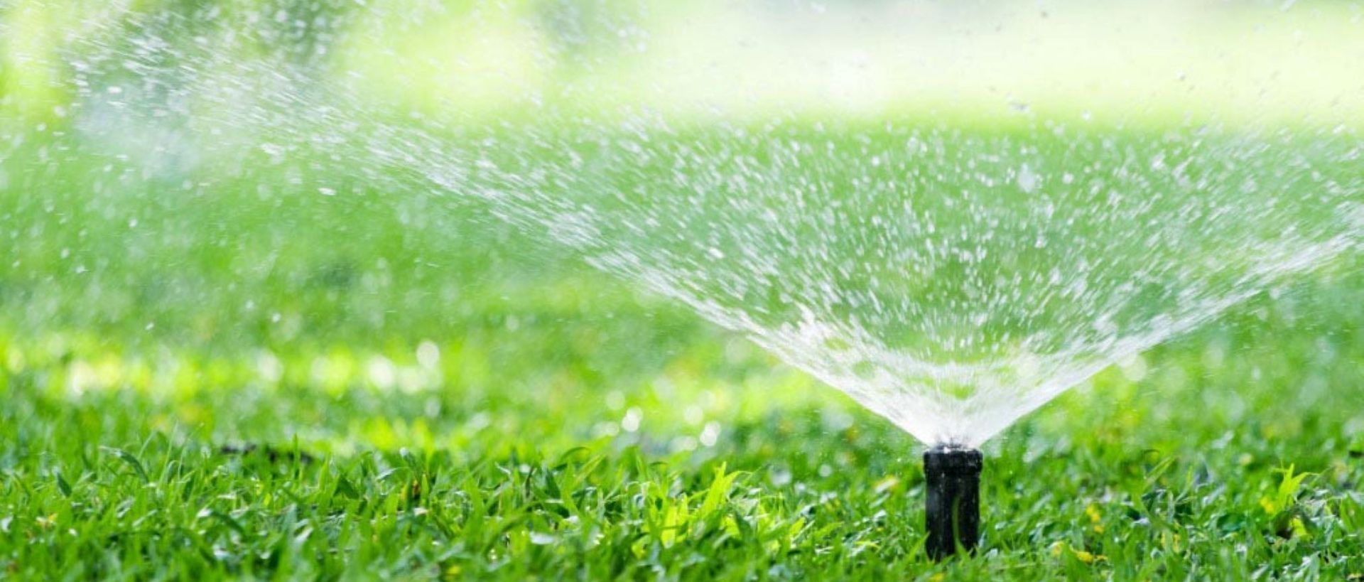 Supporting Image 6 for Hydroscape Irrigation