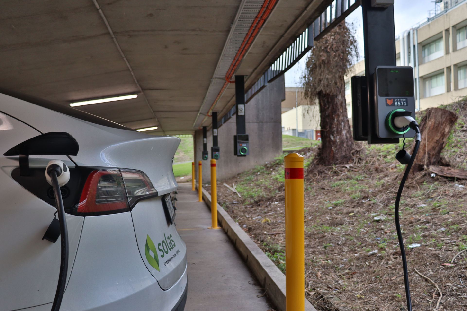 Supporting Image 5 for Solas