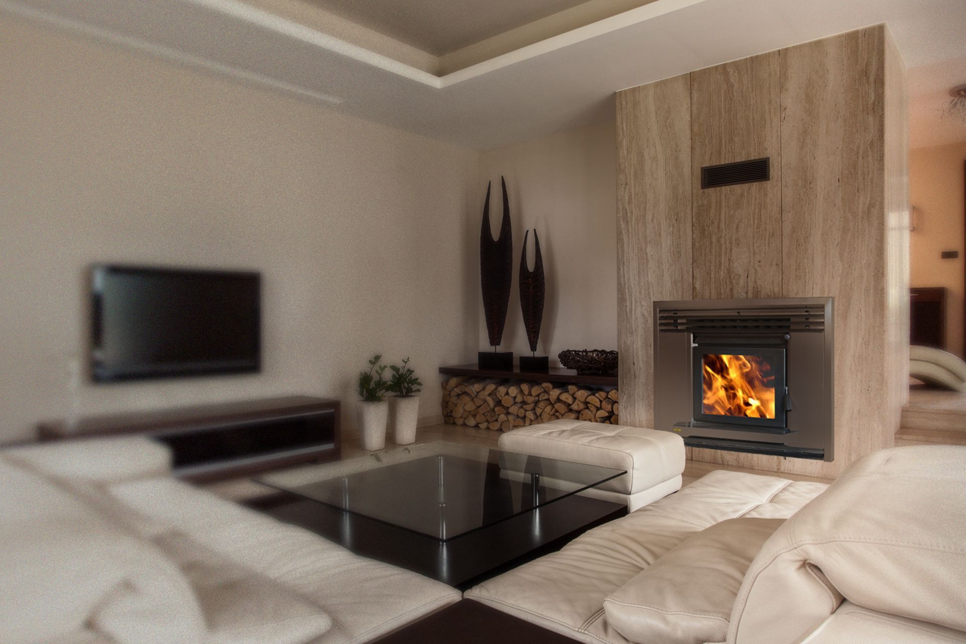 Supporting Image 6 for Ethos Woodfires