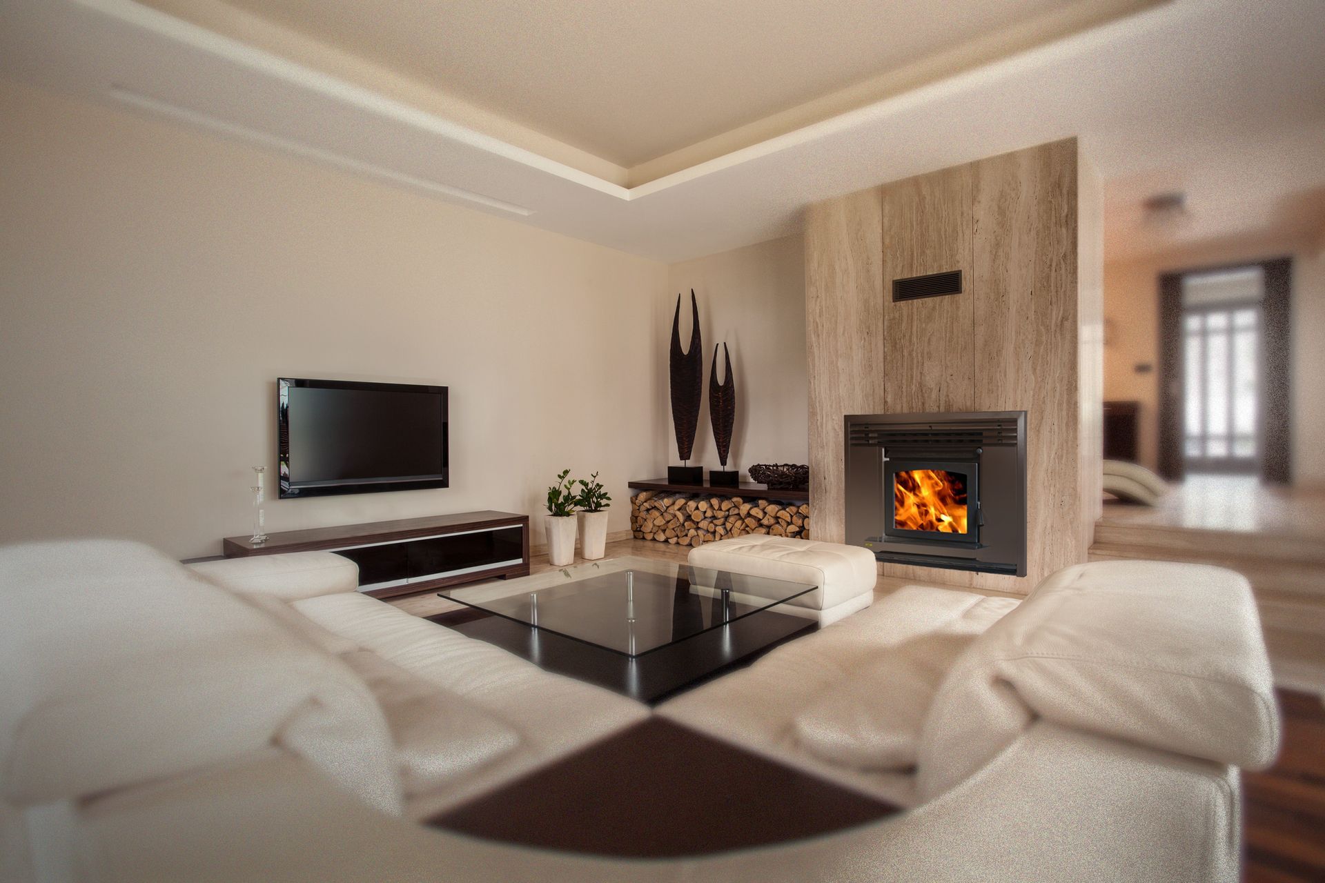 Supporting Image 4 for Ethos Woodfires