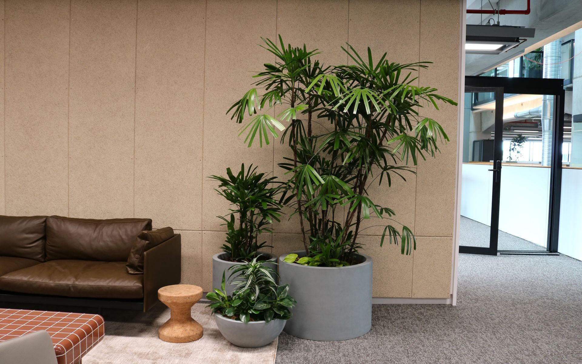 Supporting Image 5 for Hire Plants