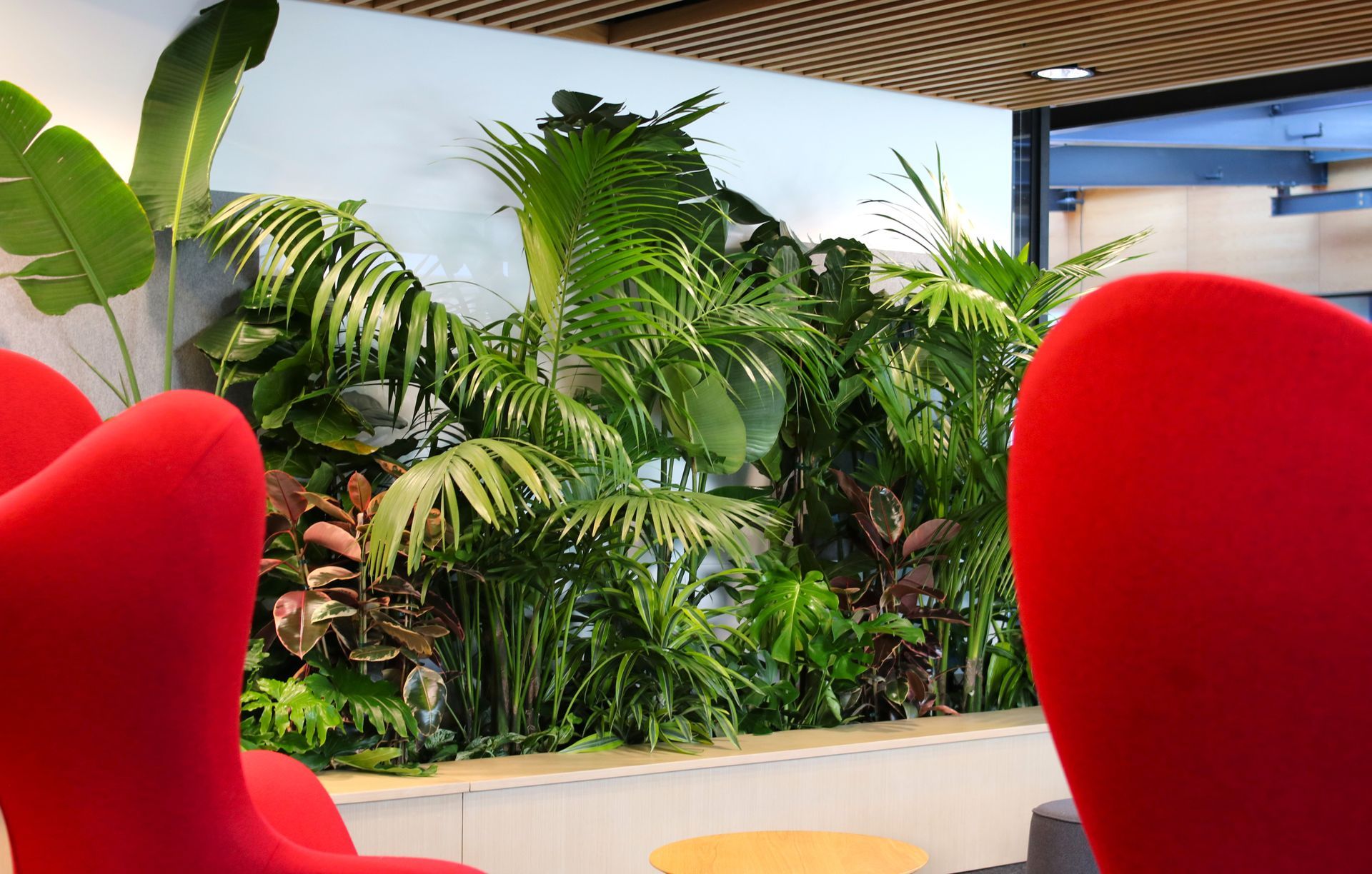 Hire Plants