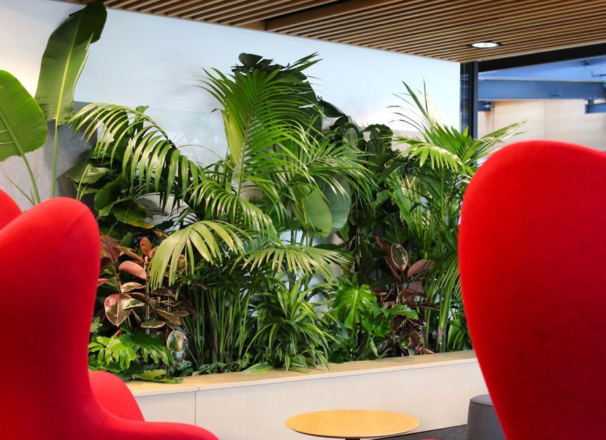 Hire Plants