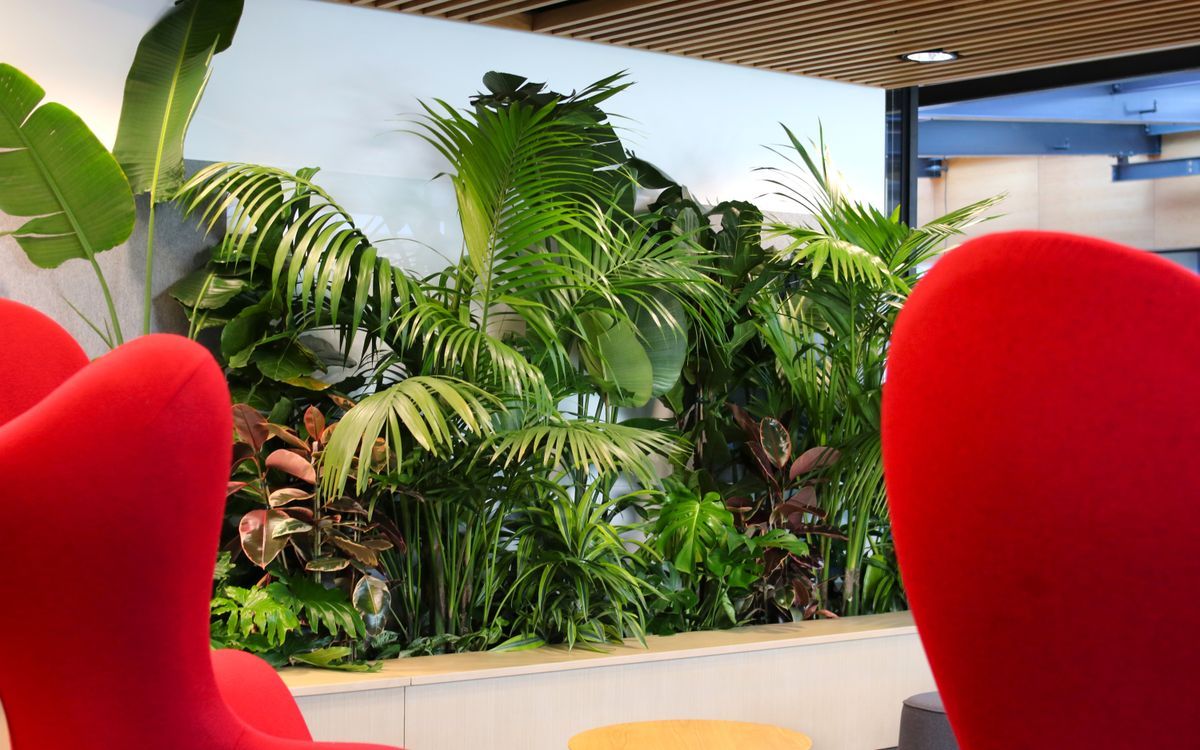 Hire Plants banner