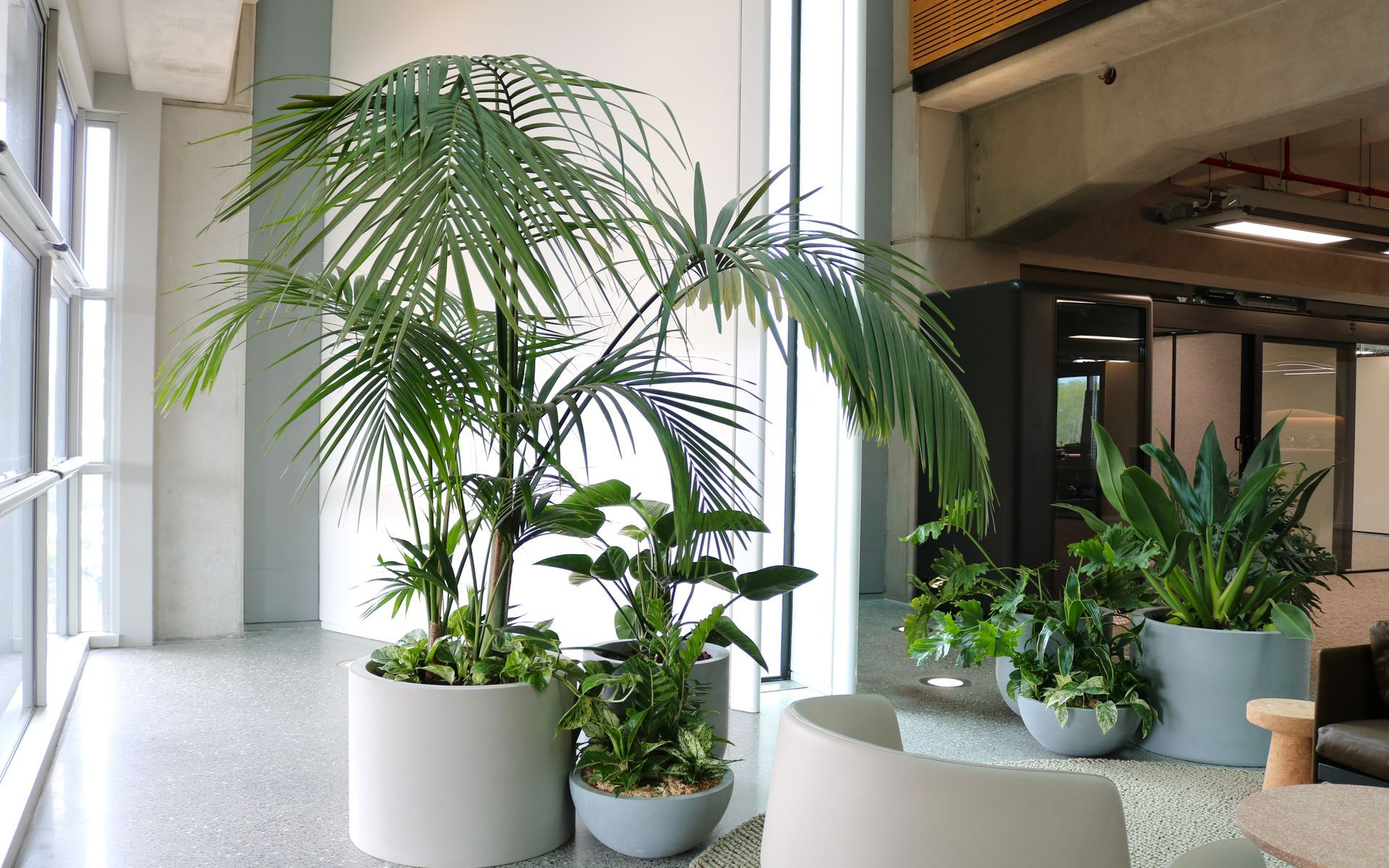 Supporting Image 2 for Hire Plants