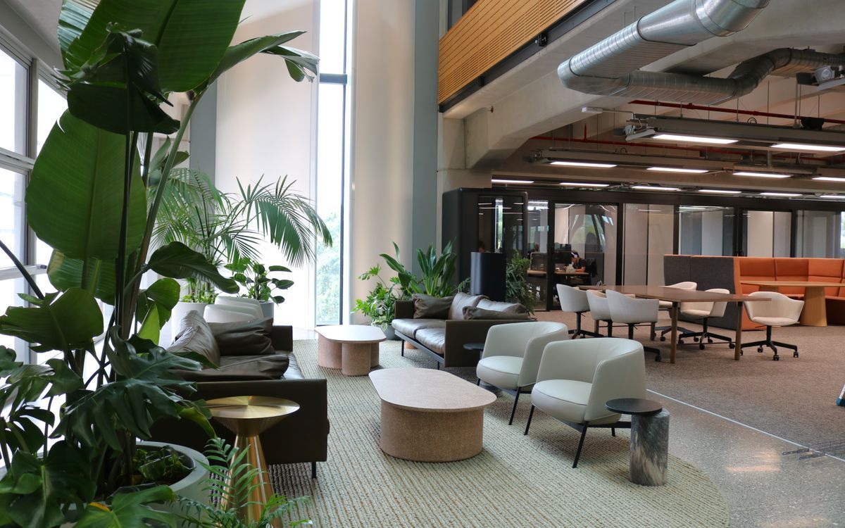 Supporting Image 4 for Hire Plants