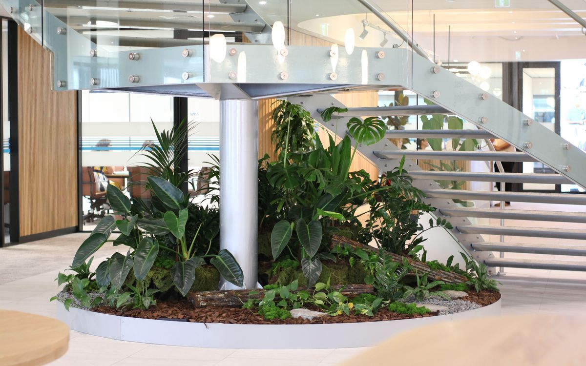 Supporting Image 6 for Hire Plants