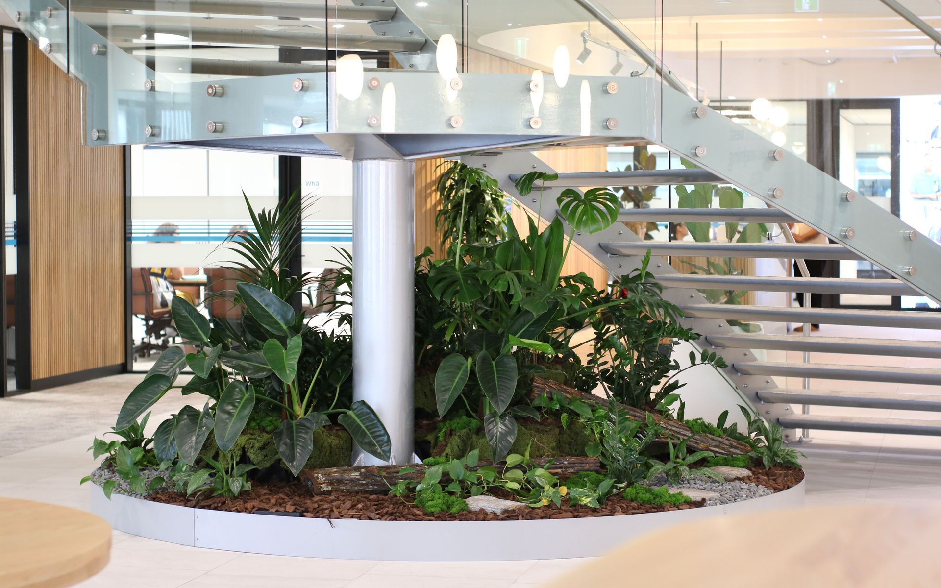 Supporting Image 6 for Hire Plants
