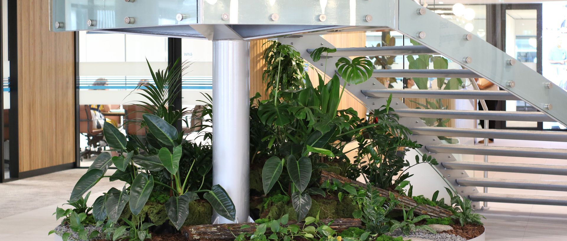 Supporting Image 6 for Hire Plants