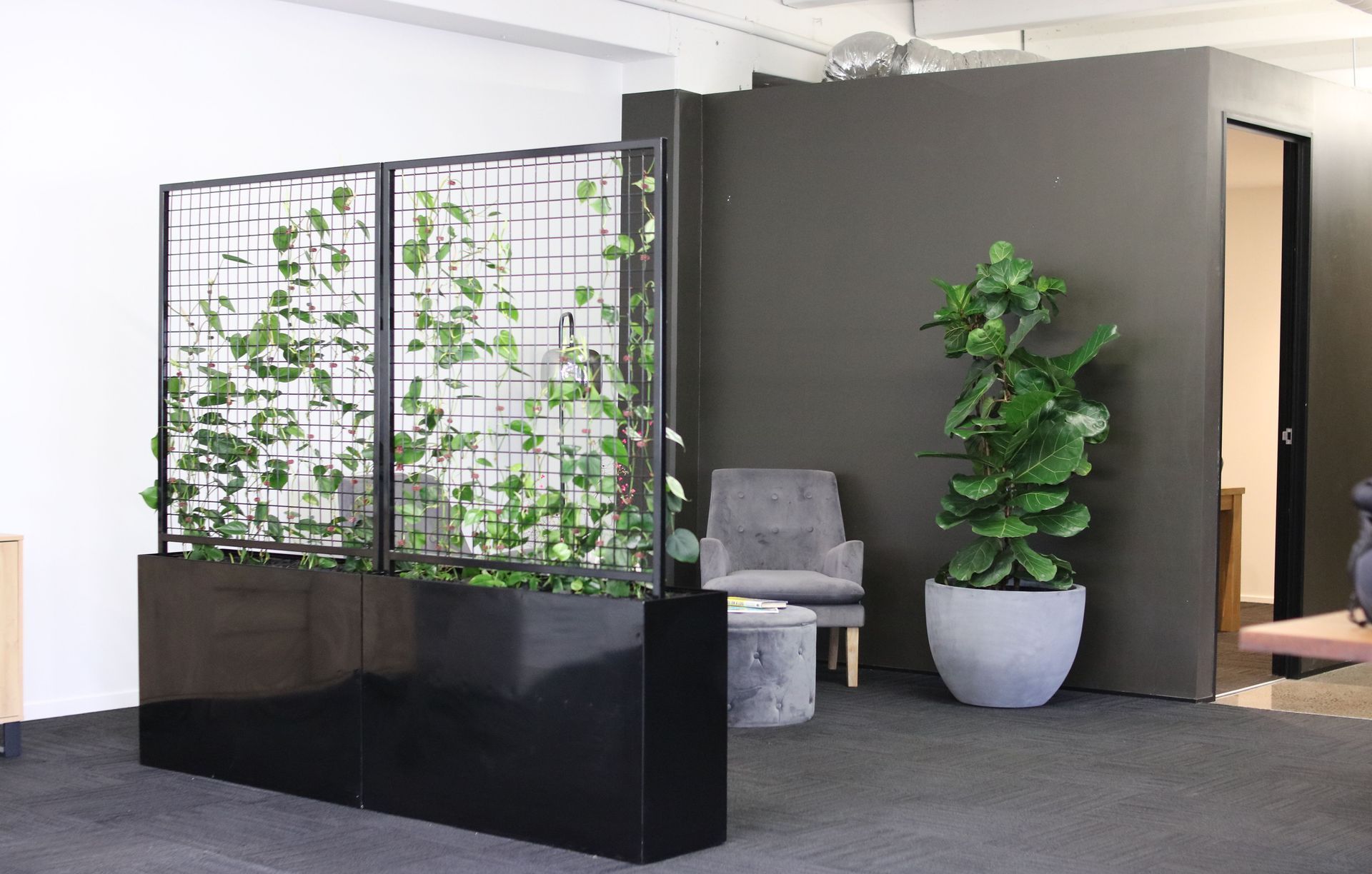Hire Plants