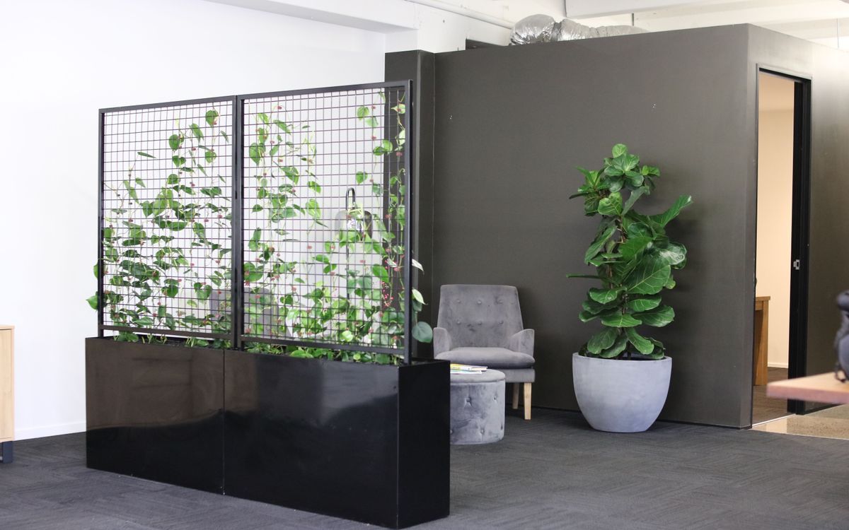 Supporting Image 1 for Hire Plants