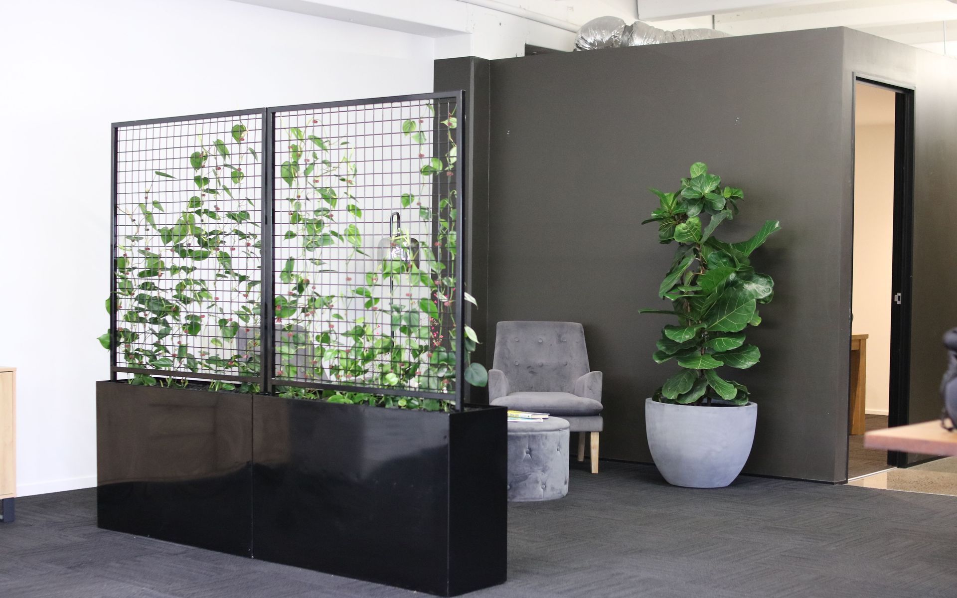 Supporting Image 1 for Hire Plants