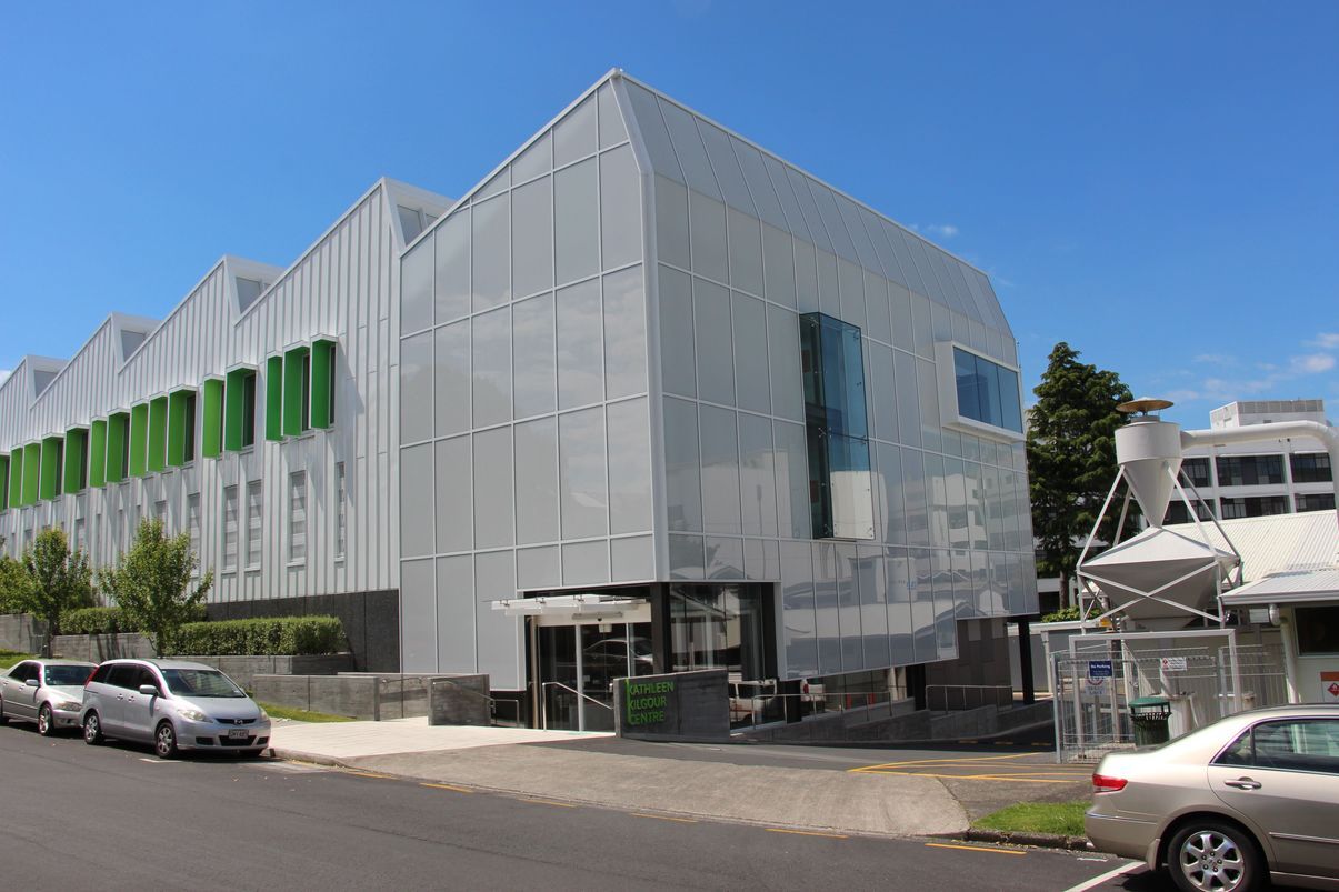 Nebulite™ Windows & Doors Tauranga