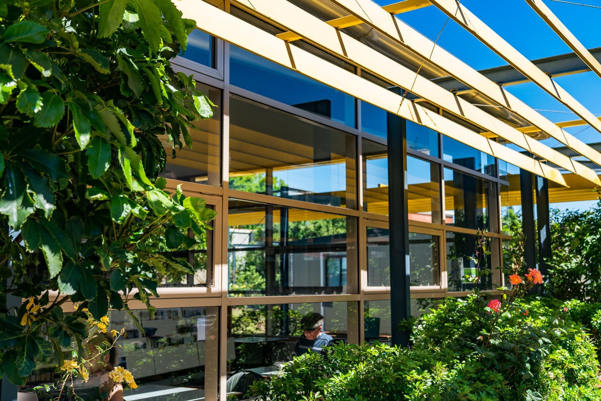 Hero Banner for Morgan Glass