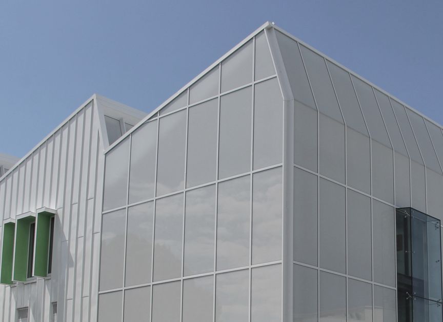 Nebulite™ Windows & Doors Tauranga