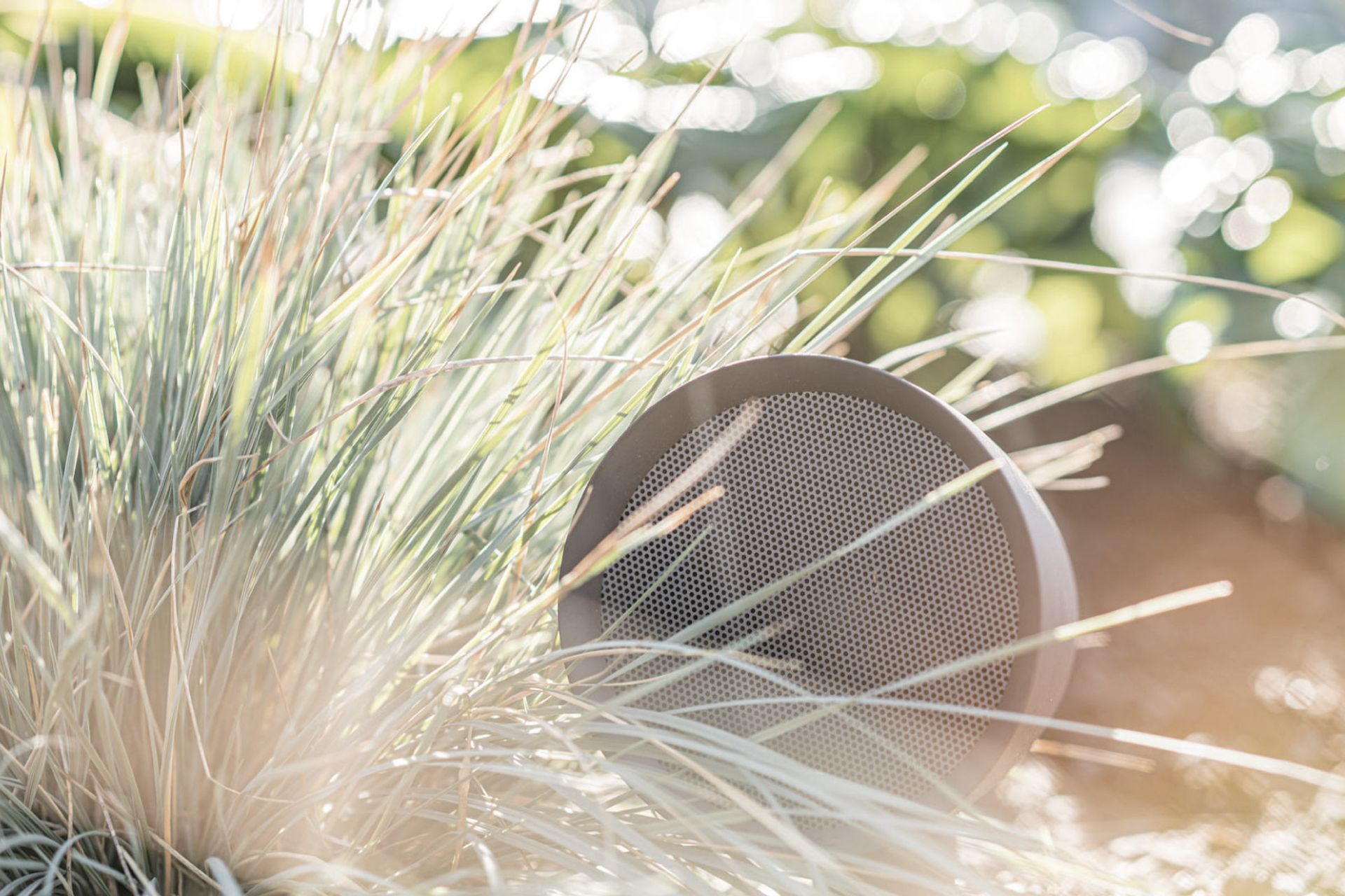 Supporting Image 1 for Custom Digital