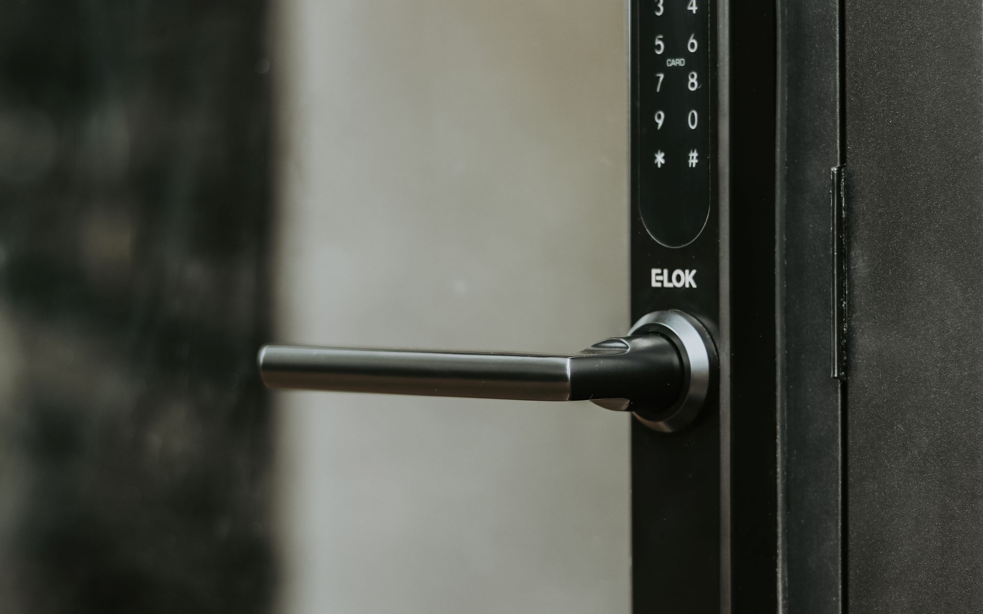 Supporting Image 2 for E-LOK