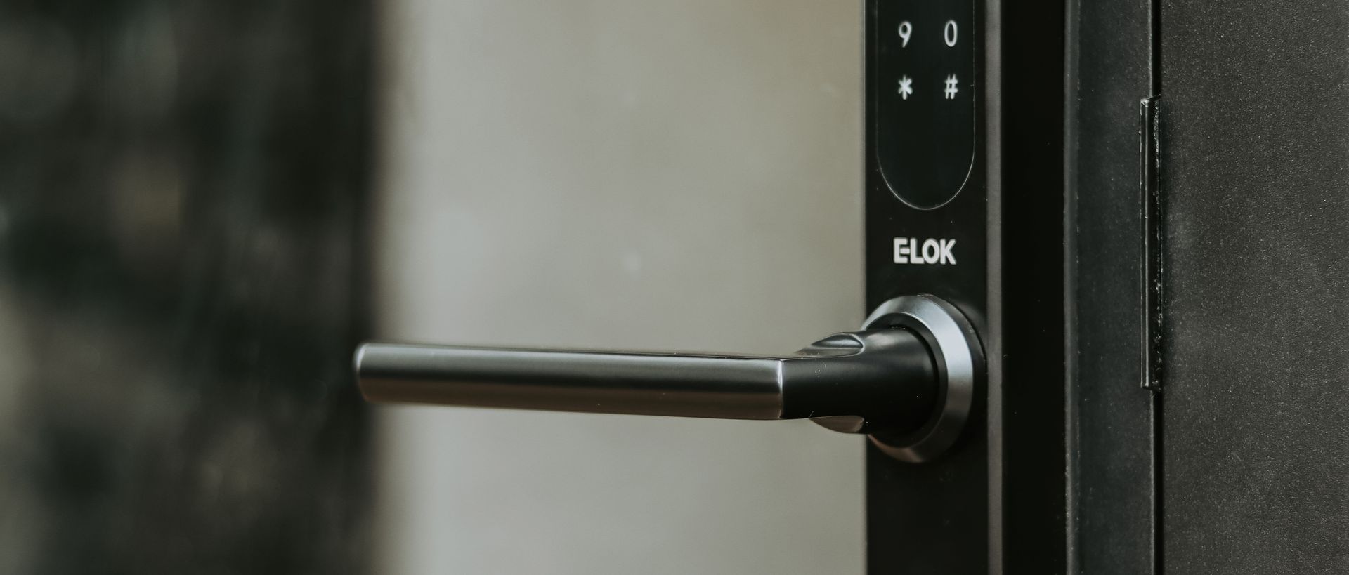 Supporting Image 2 for E-LOK
