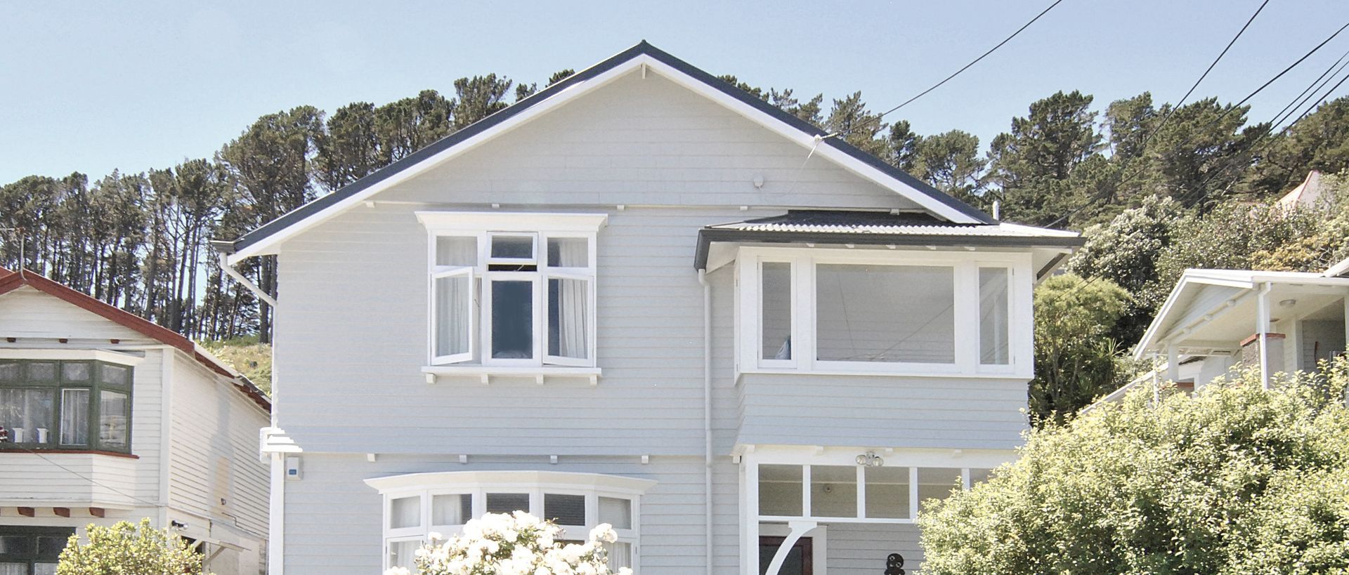 Supporting Image 1 for Whisk Renovators