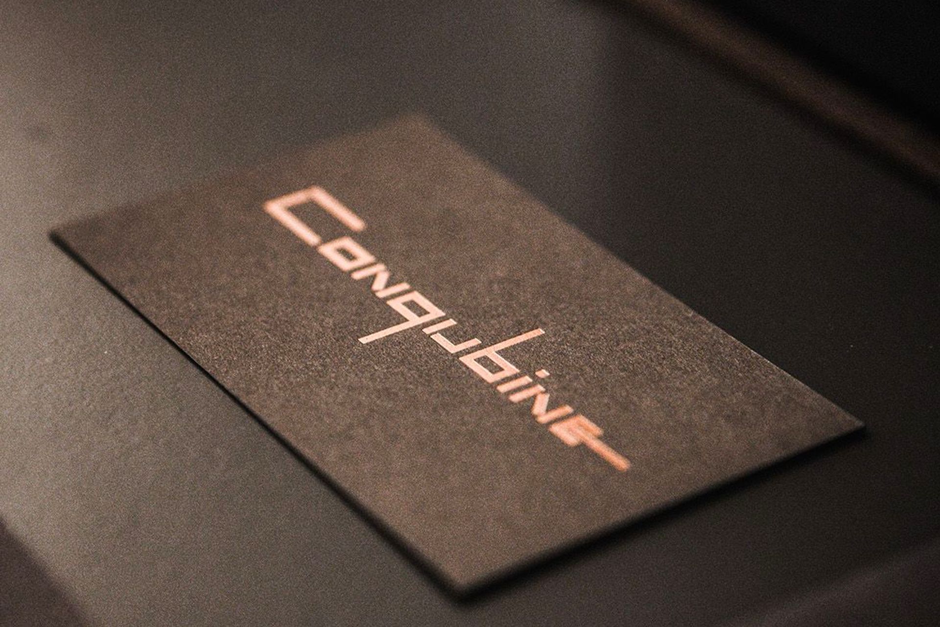 Supporting Image 1 for Conqubine