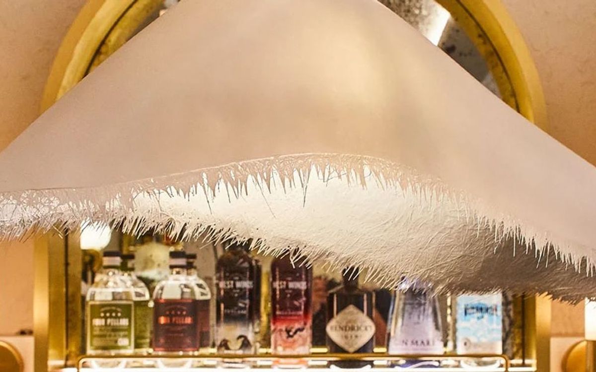 Anouk & Co banner