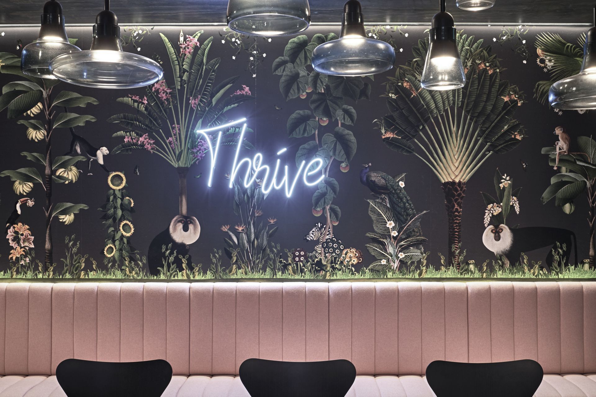 Hero Banner for Siren Design Group