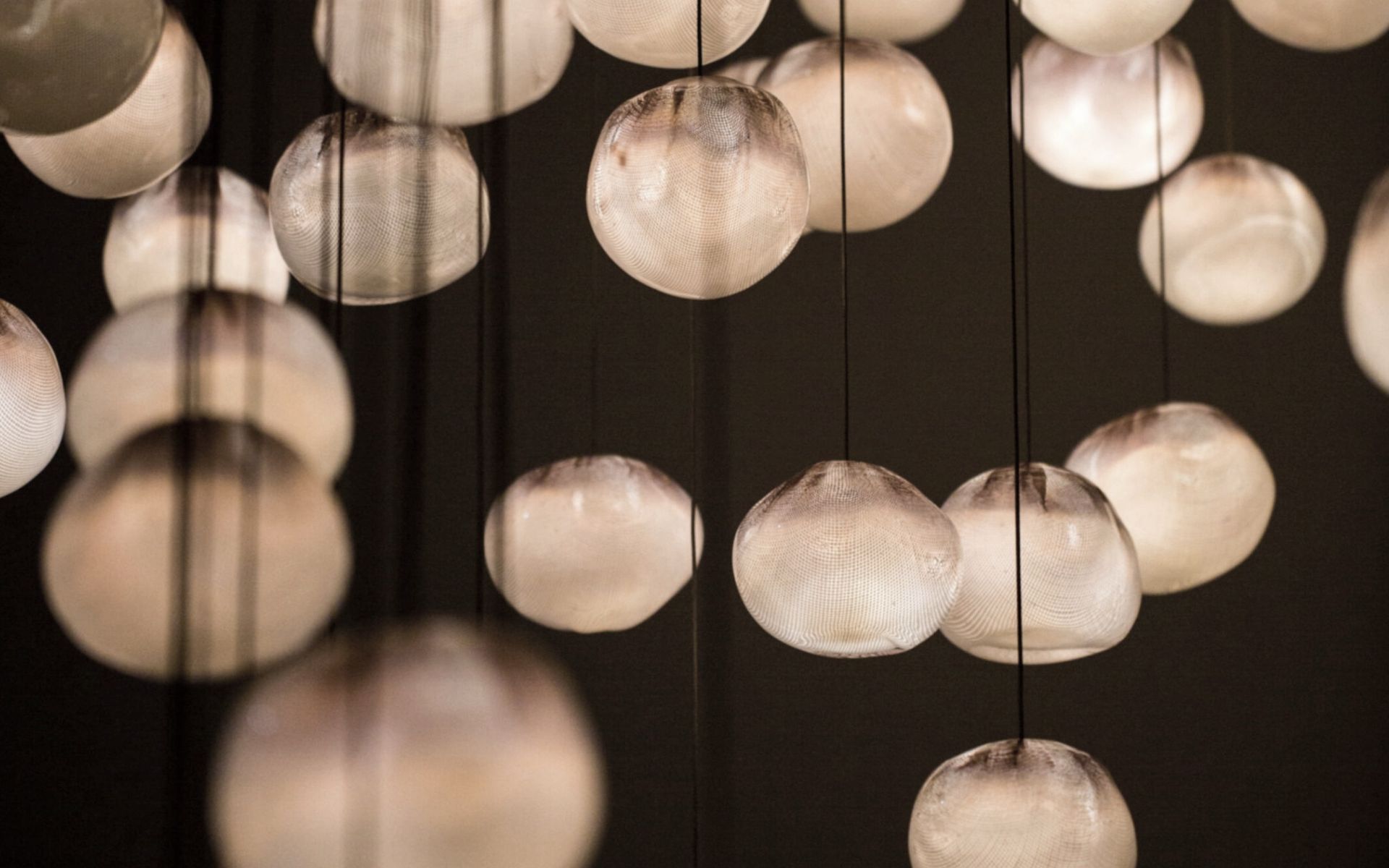 Supporting Image 1 for Wanaka Interiors