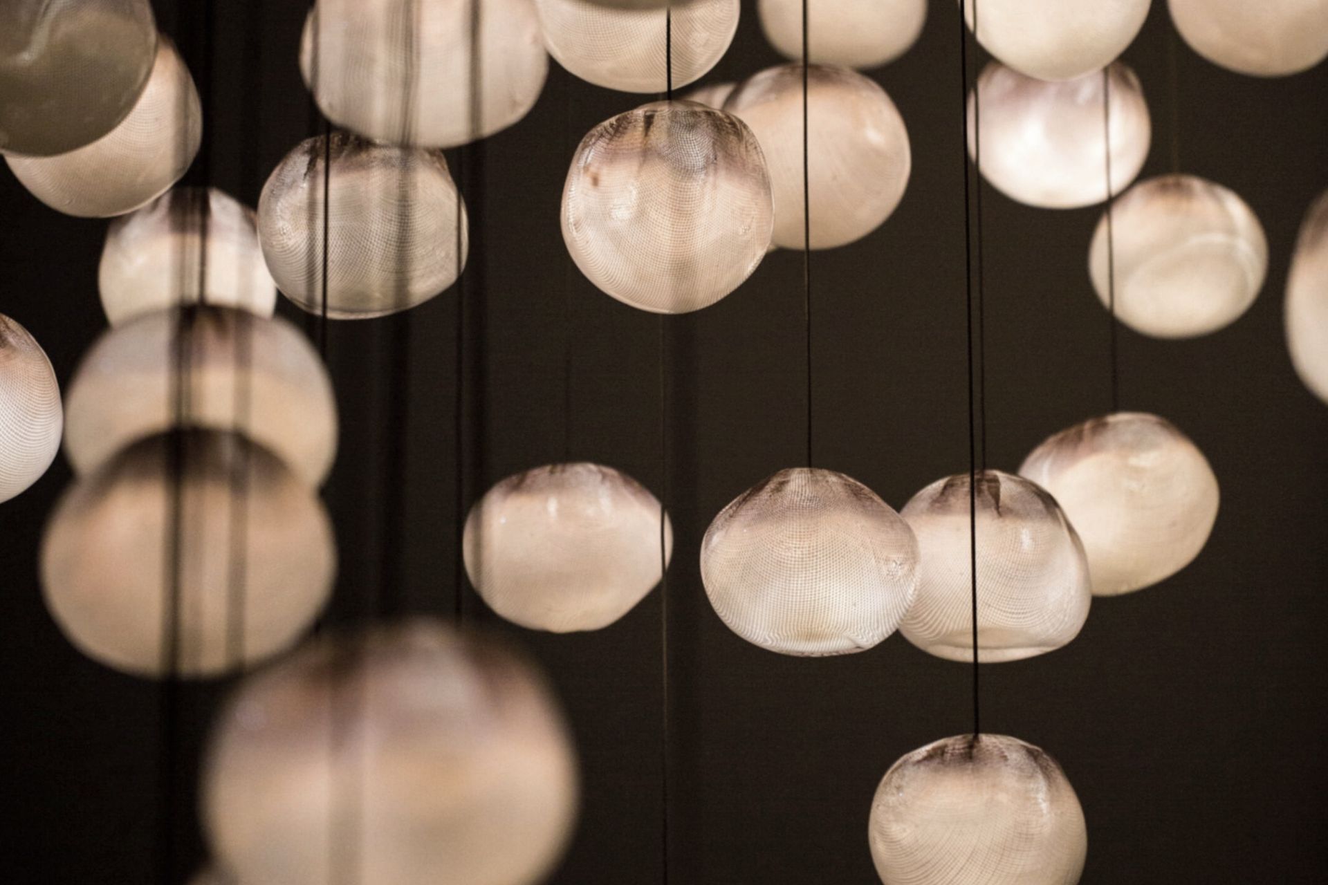 Supporting Image 1 for Wanaka Interiors