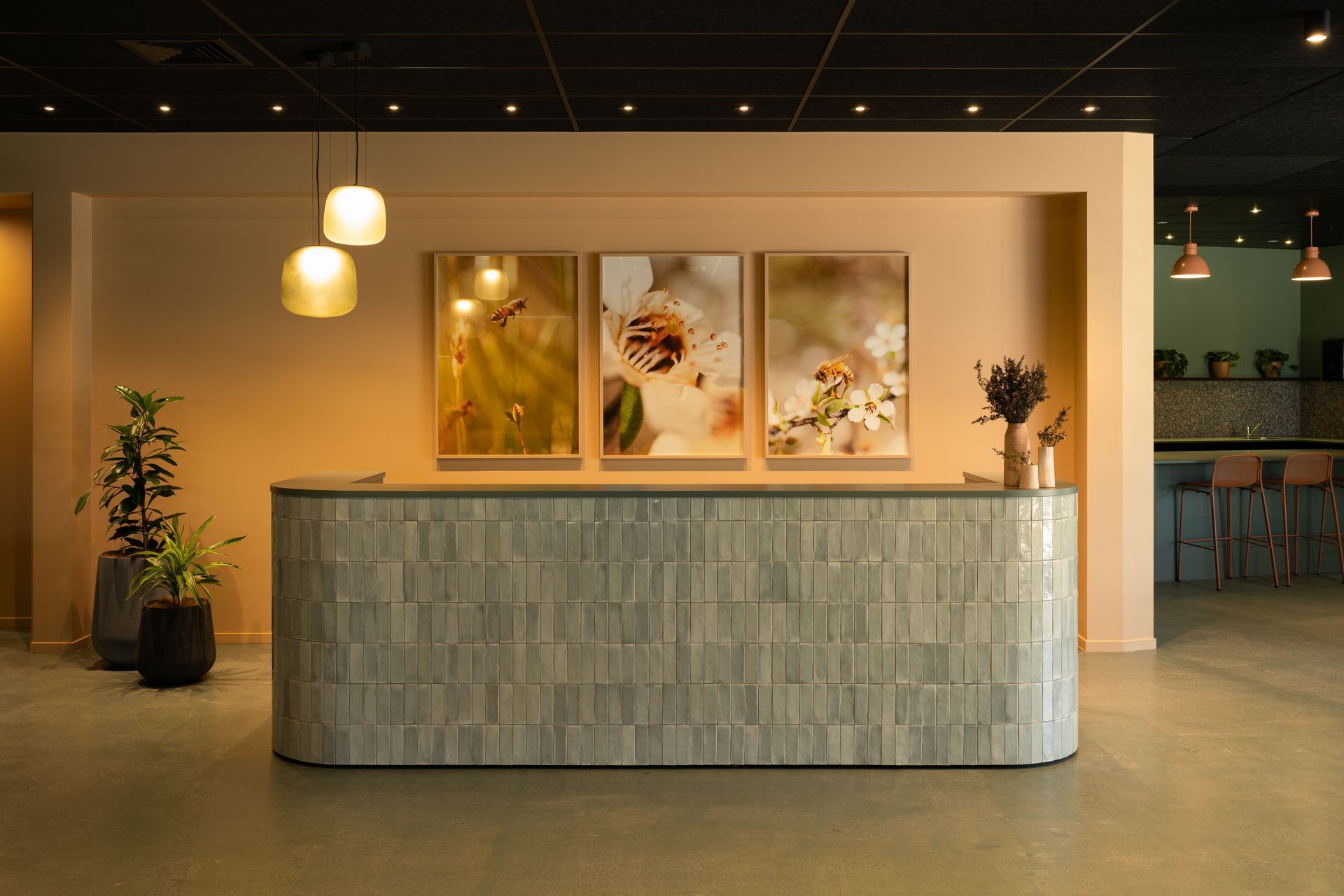 Supporting Image 2 for Blur the Lines