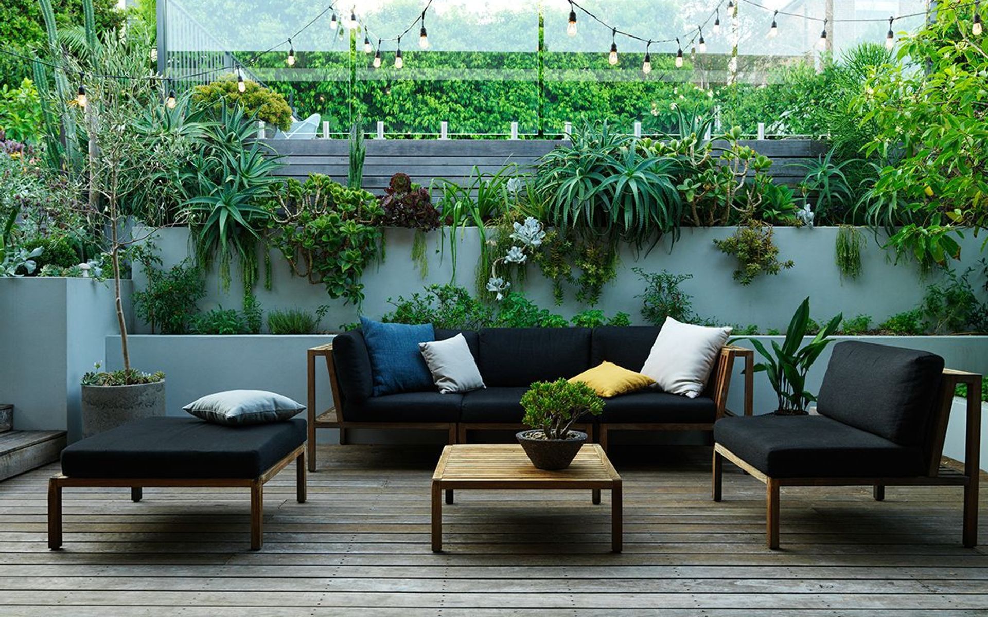 Supporting Image 2 for Pepo Botanic Design