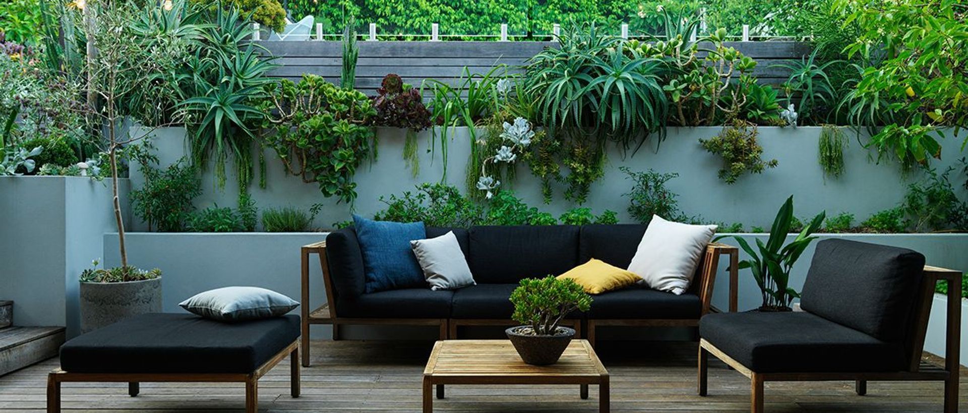 Supporting Image 2 for Pepo Botanic Design